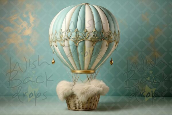 air balloon-25