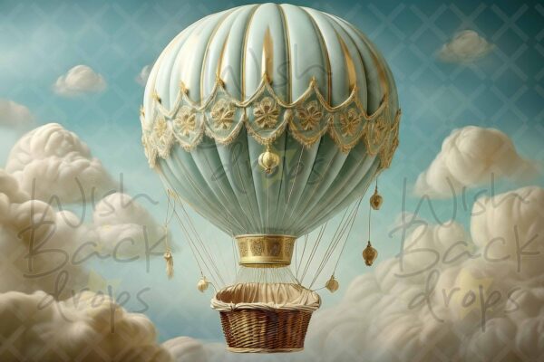 air balloon-26