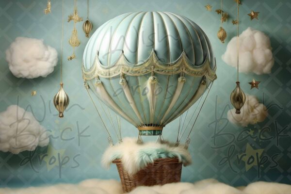 air balloon-27