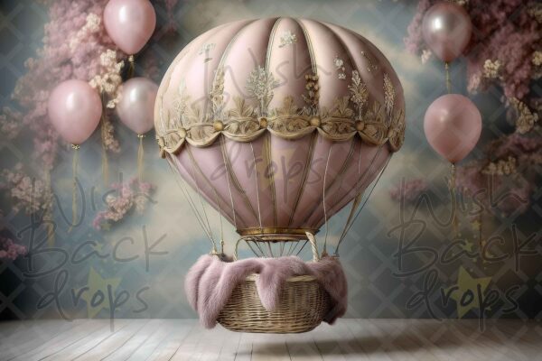 air balloon-30