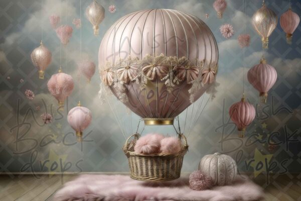 air balloon-31