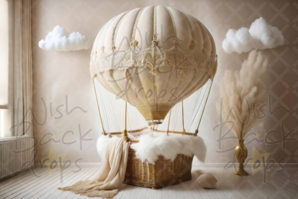 air balloon-43