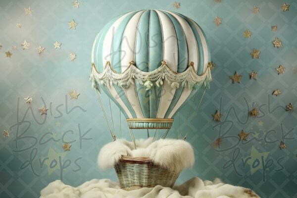 air balloon-46