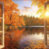 autumn-forest-1