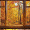 autumn-forest-8