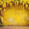 wisteria-arch-21