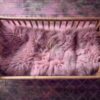 cradle pack 2-16