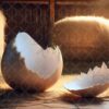 eggs-9
