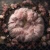 flower-circle-20