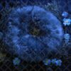flower-circle-3