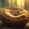 nest-5