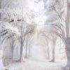 white-room-23