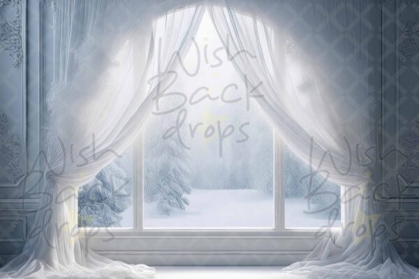windows-and-curtains-19