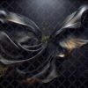 Black Satin Wings Digital Backdrops, set of 15 Backgrounds for Photographers