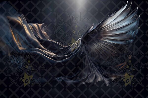 Black Satin Wings Digital Backdrops, set of 15 Backgrounds for Photographers