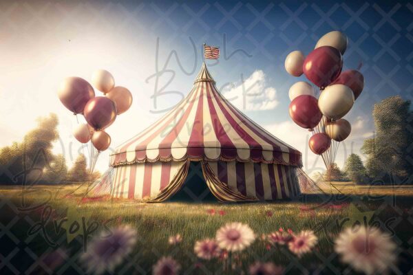circus-2