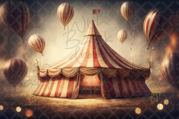 circus-6
