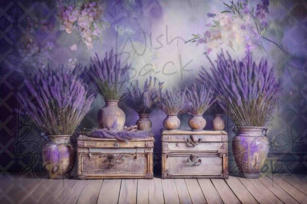 lavender-13