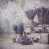 lavender-15