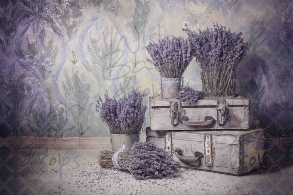 lavender-15