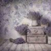 lavender-2