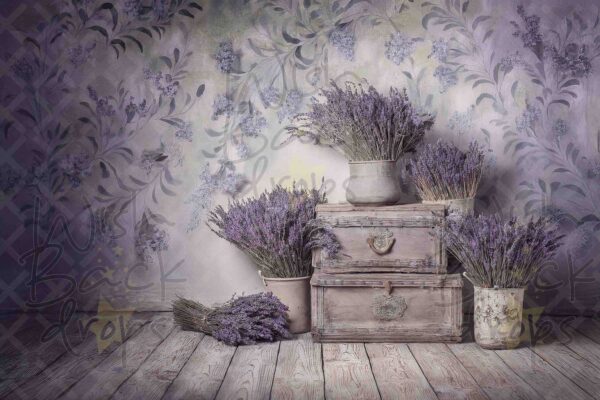 lavender-2