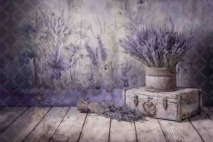 lavender-7
