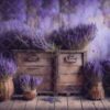lavender-9