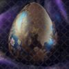 luxury-eggs-13
