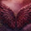 blood-wings-7