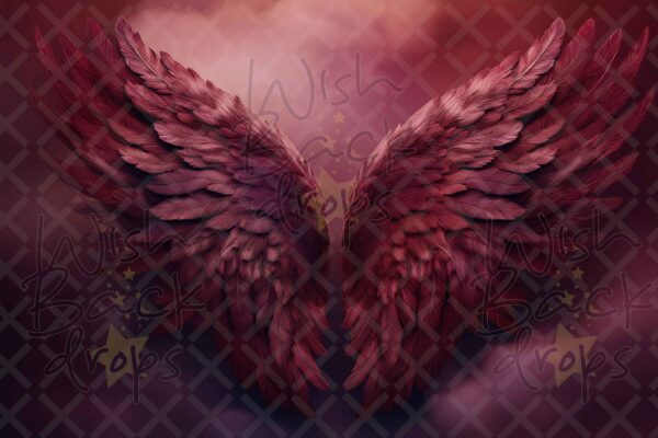 blood-wings-7