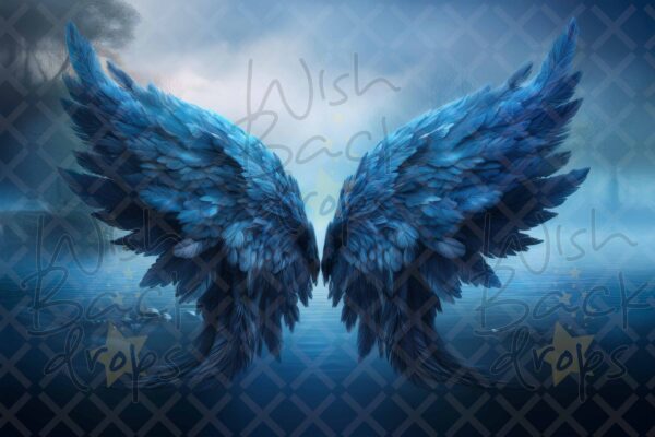 blue-wings-5