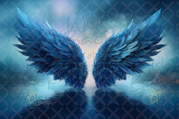 blue-wings-6