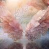 coral-wings-1