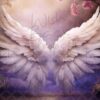 ethereal-wings-2-5