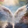 ethereal-wings-2-7