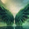 green-wings-7