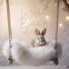 swing-bunny-10