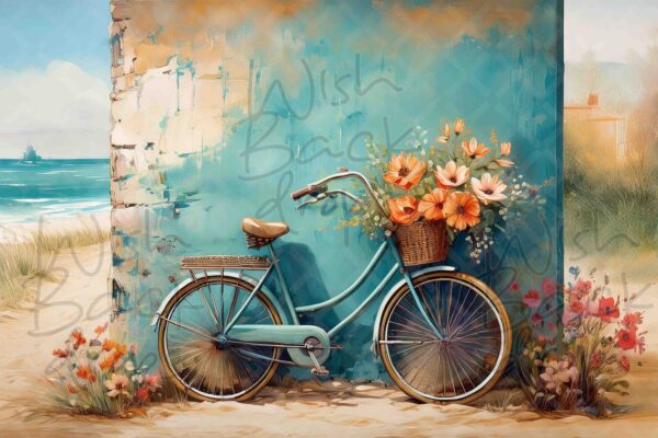 teal -bike-1