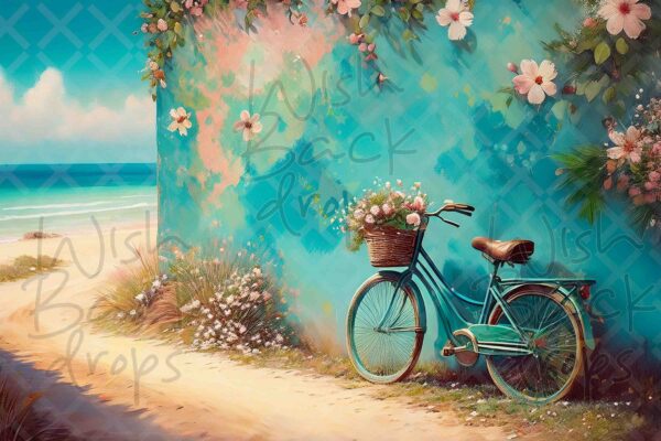 teal -bike-2