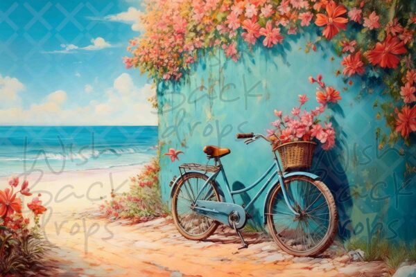 teal -bike-3