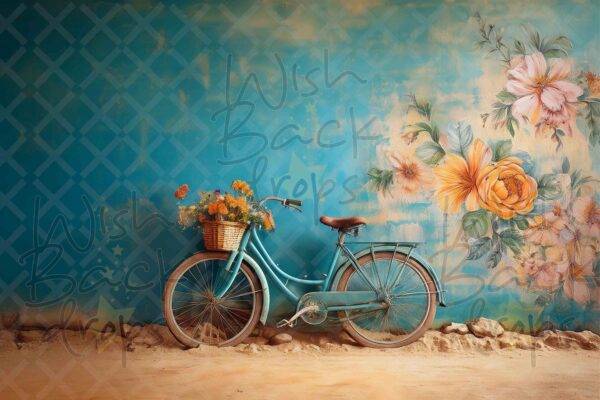 teal -bike-4