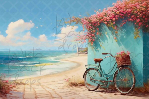 teal -bike-5