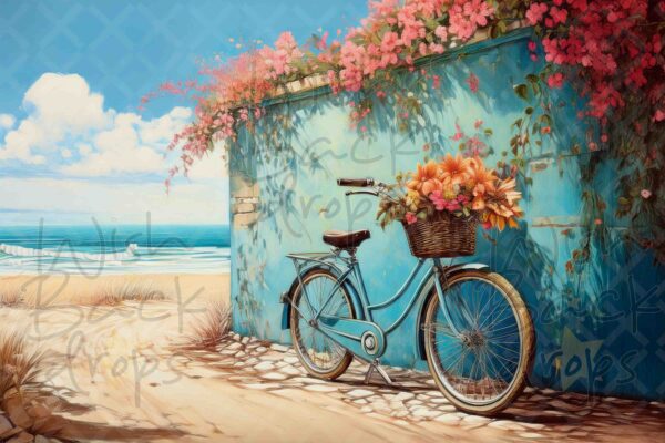teal -bike-6