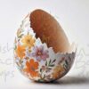 white-eggs-1-2