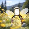 bees-cakes-2