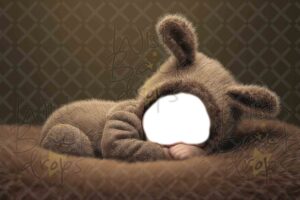 brown-bunny-1