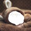 brown-bunny-2