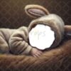 brown-bunny-4