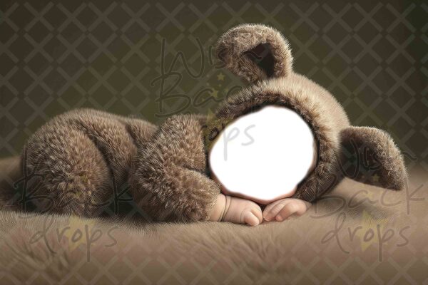 brown-bunny-5